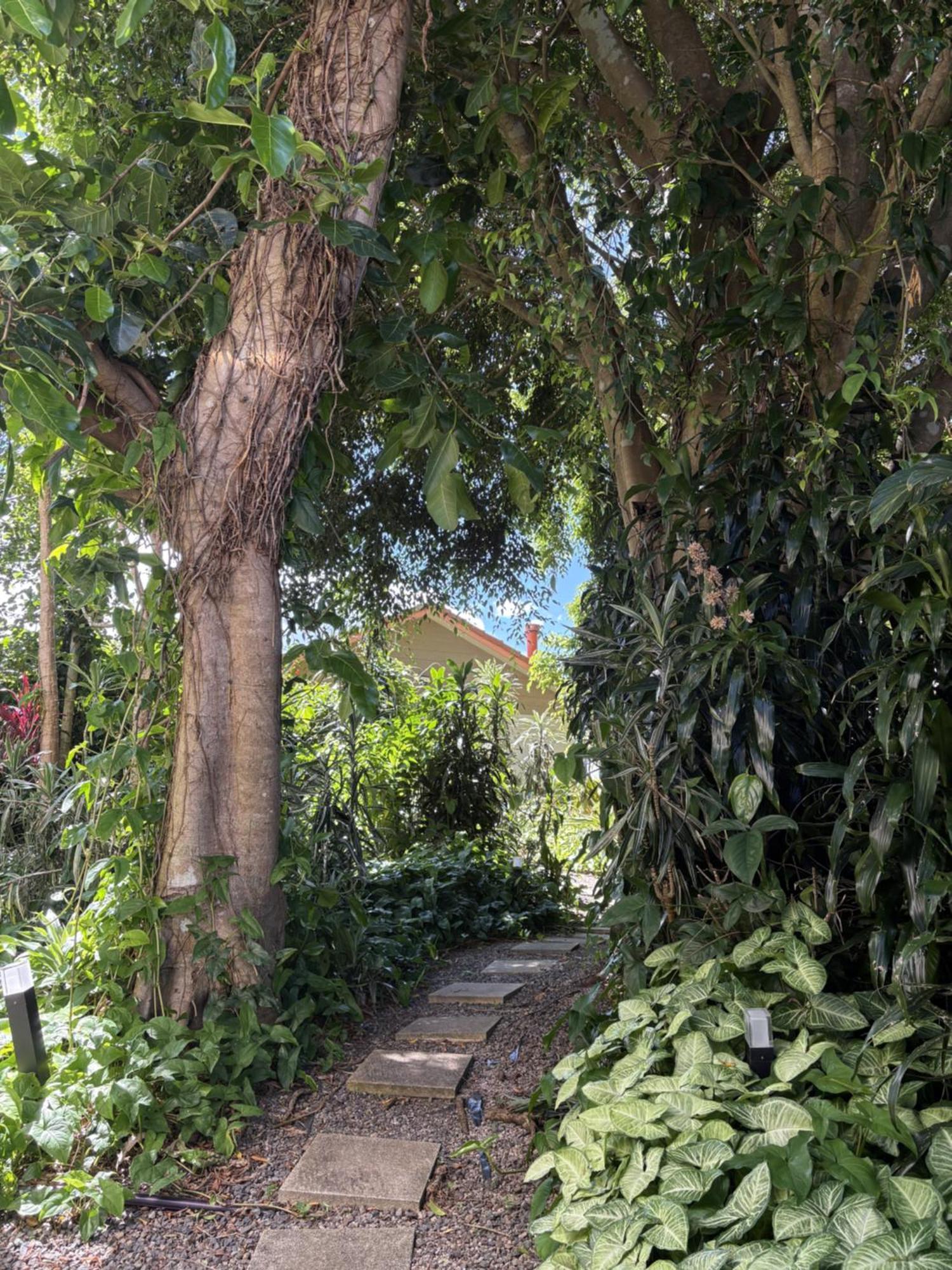 Maleny Terrace Cottages Exterior foto