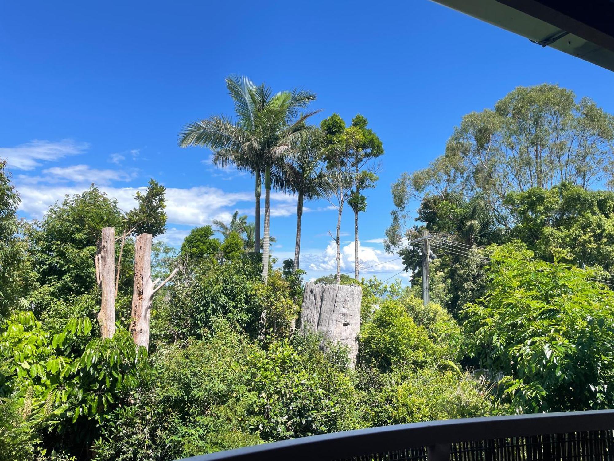 Maleny Terrace Cottages Exterior foto
